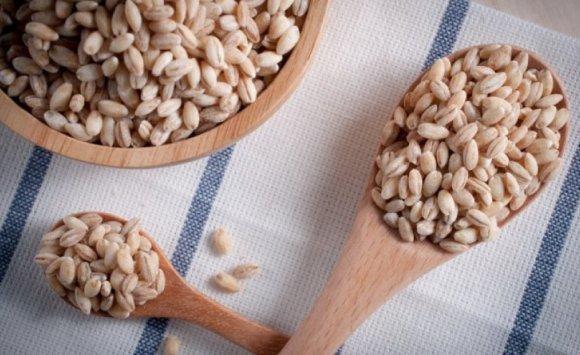 طرح مناقصة جديدة لشراء 120 ألف طن شعير