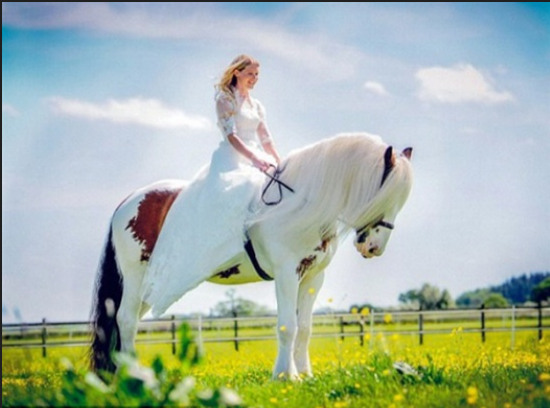 تفسير حلم ركوب الخيل لابن سيرين