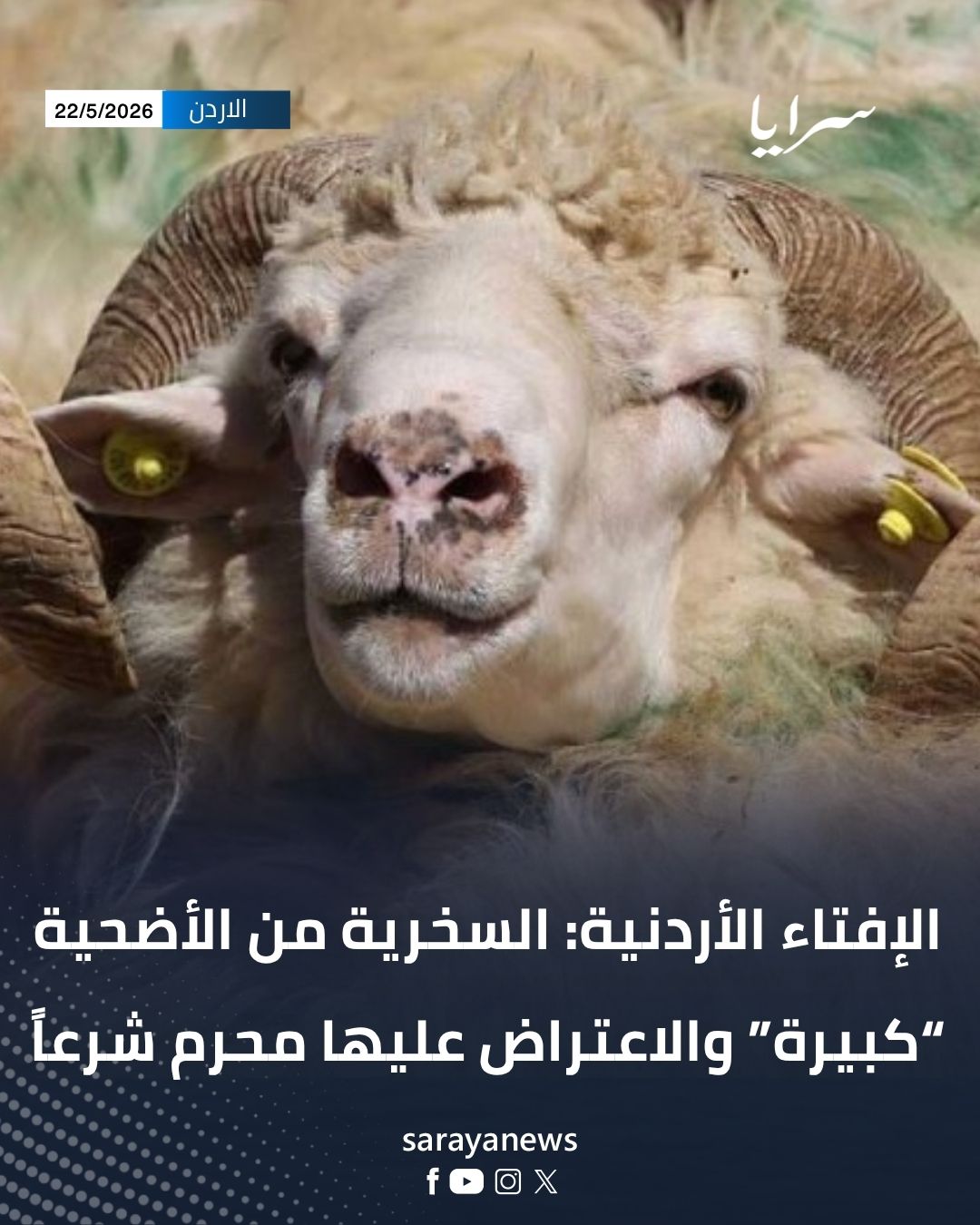 الإفتاء الأردنية: السخرية من الأضحية “كبيرة” والاعتراض عليها محرم شرعاً