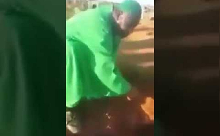 بالفيديو  ..  حفار قبور يعثر على خلية نحل صبّت عسلها فوق جثة شاعر  ..  "تفاصيل"