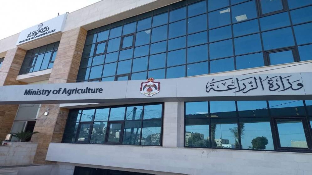 نقابة الأطباء البيطريين الأردنيين "تنسف" بيان وزارة الزراعة حول انحصار إصابات الحمى القلاعية إلى صفر