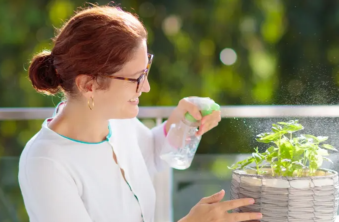 قرار أسعد سيدات مصر ..  تفاصيل رواتب شهرية وتأمين صحي لربات البيوت