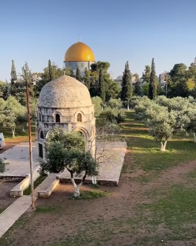 بالفيديو ..  شاهد أجمل منزلي في فلسطين وفي العالم 