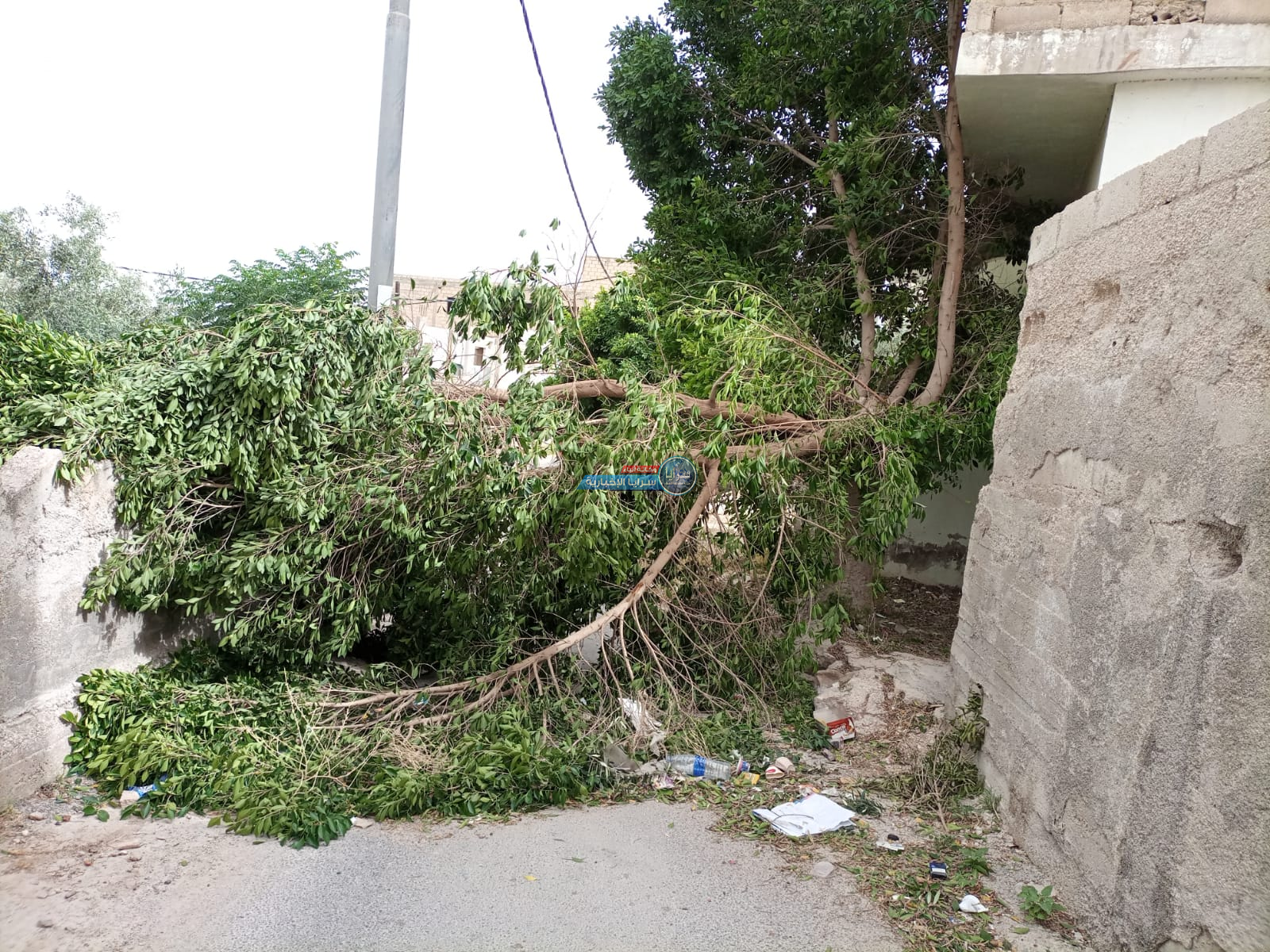 إنهيار أجزاء من مبنى سكني قيد الانشاء وسقوط أشجار جراء رياح عاتيه ضربت الأغوار الشمالية  ..  صور
