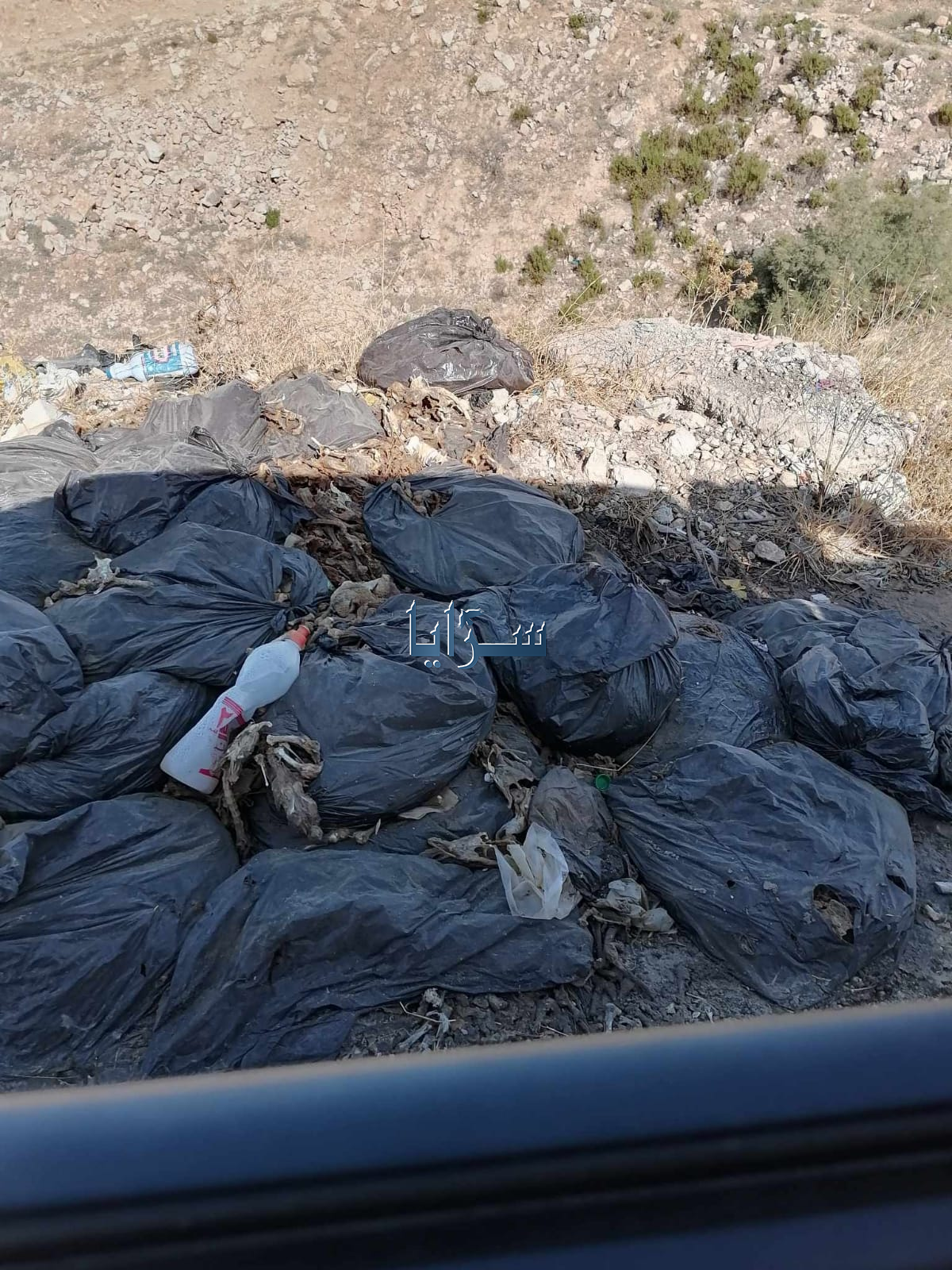 بالصور .. اربد : انتشار روائح كريهة على طريق وادي الغفر تقلق المواطنين