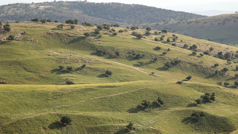 أجواء دافئة الجمعة في أغلب مناطق المملكة
