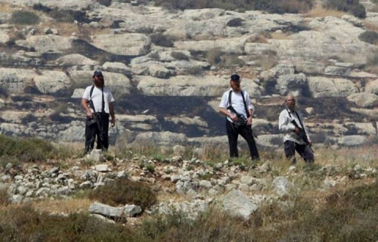 بالفيديو  ..  مستوطنون يهاجمون فعالية لزراعة أشجار الزيتون في نابلس