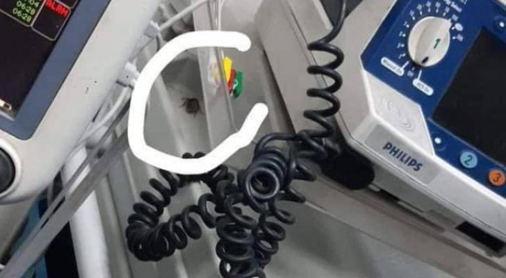 المدعي العام يفرج عن شاب صور فيديو "الصرصور" داخل طوارىء البشير