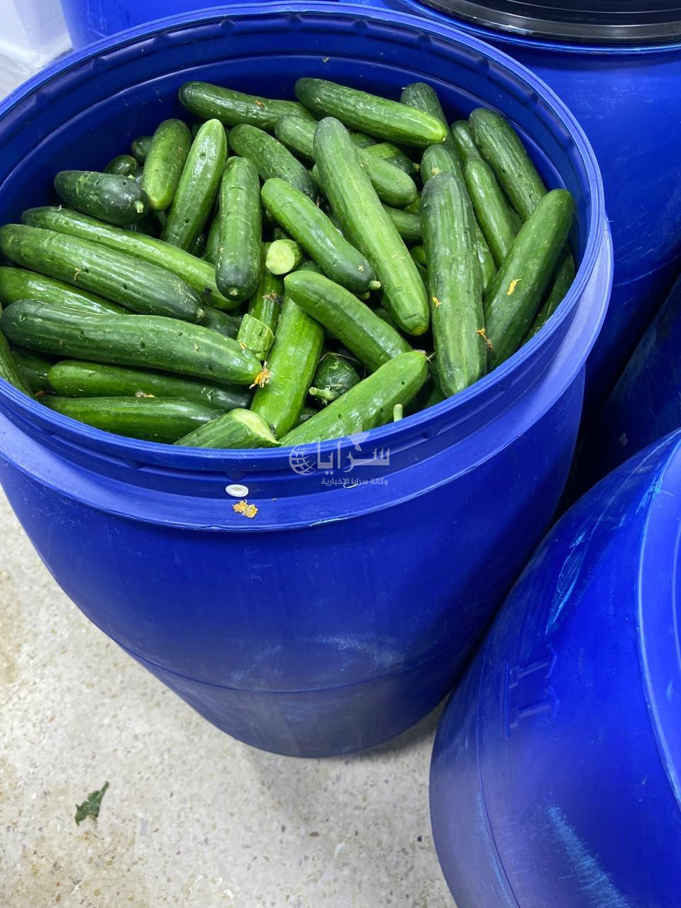 الغذاء والدواء تُغلق مشغل مخللات غير مرخّص في الزرقاء