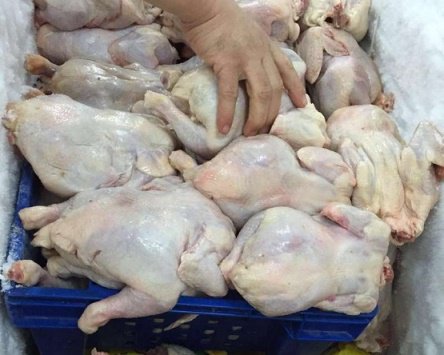 إتلاف 4300 كغم من الدجاج