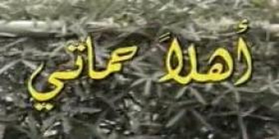 ماذا افعل مع زوجتي وحماتي