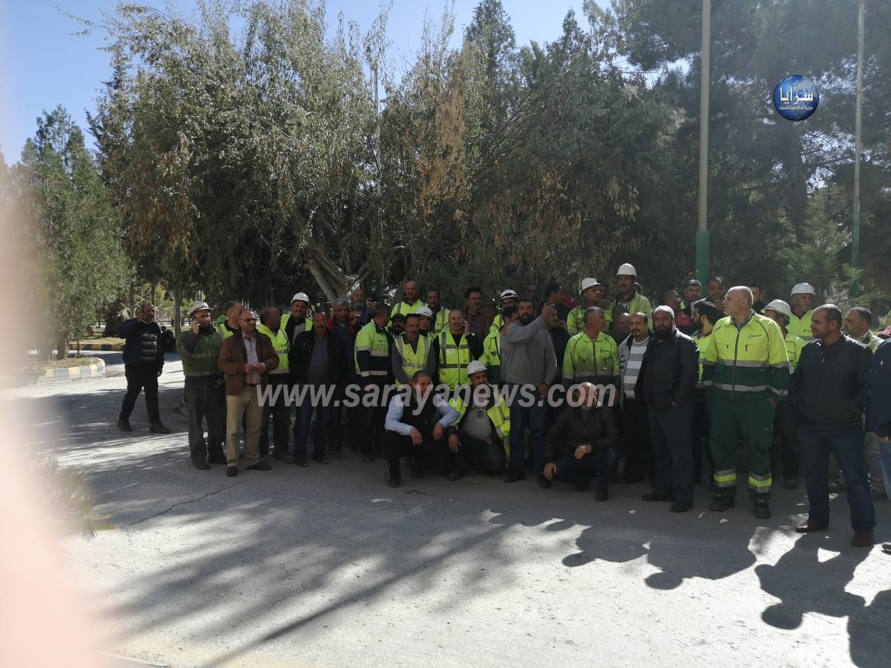 saraya news