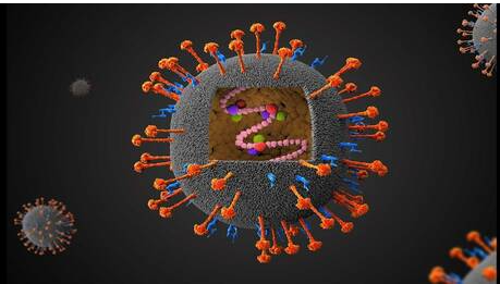 أكثر فتكا من "كوفيد" ..  فيروس "لا شفاء منه" يتفشى في الهند والسلطات تكشف عدد المصابين والمعزولين