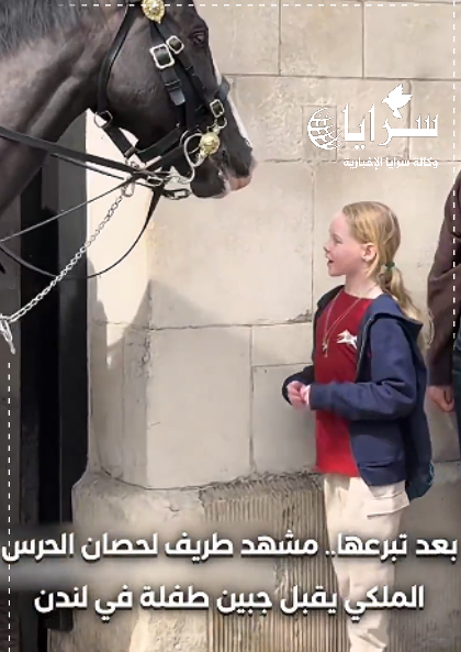 بعد لفتة لطيفة ..  حصان ملكي يكافئ طفلة بـ"قبلة" على الجبين - فيديو