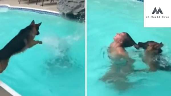 بالفيديو ..  كلب شجاع ينقذ صاحبته من الغرق