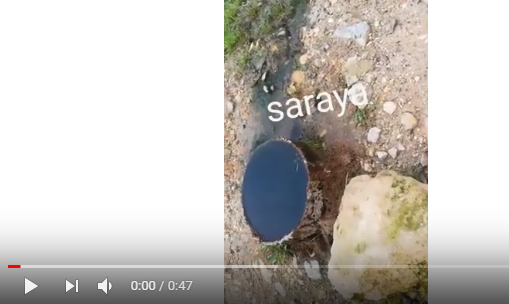 بالفيديو .. إربد: بعد سنوات من الجفاف تدفق المياه من بئر مهجور في لواء الكورة 