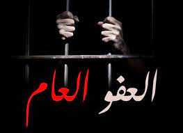 "الحريات النيابية": لا رد من الحكومة حول "العفو العام"