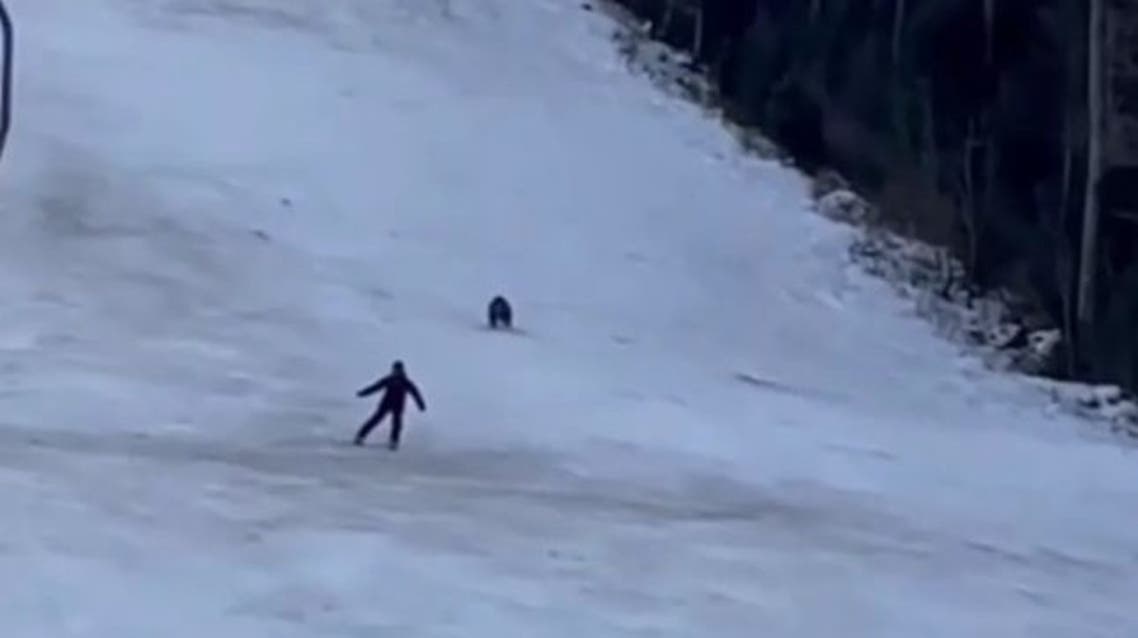 بالفيديو ..  لحظات مرعبة لهروب شخص من "دب" مفترس أثناء تزلجه على الثلوج