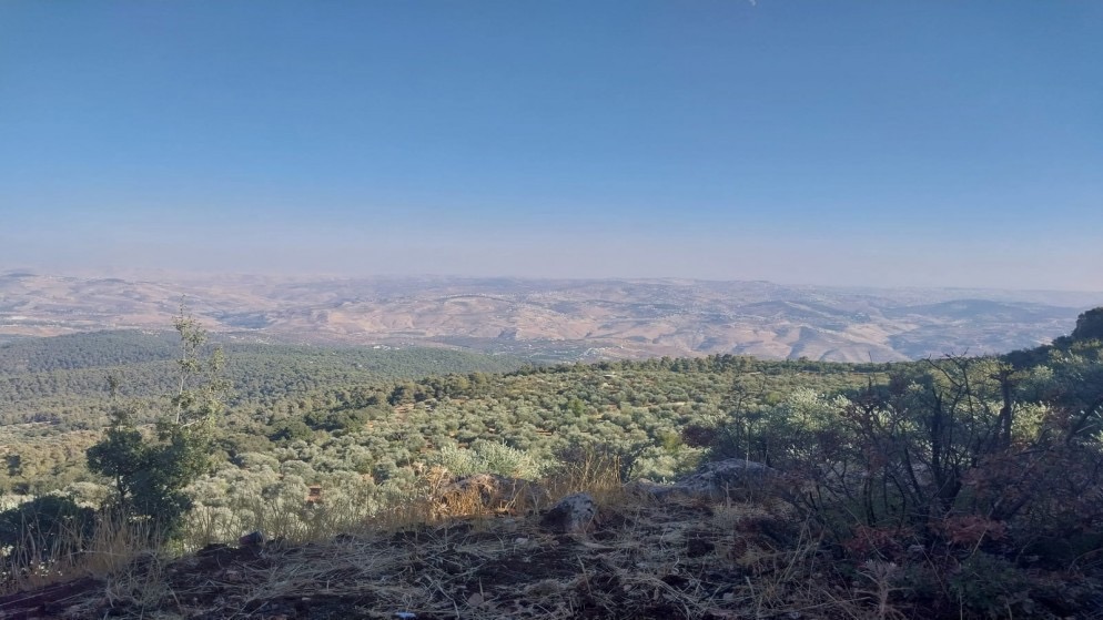 بدء تنفيذ أعمال مشروع مدينة جرش السياحي بكلفة 7 ملايين دينار