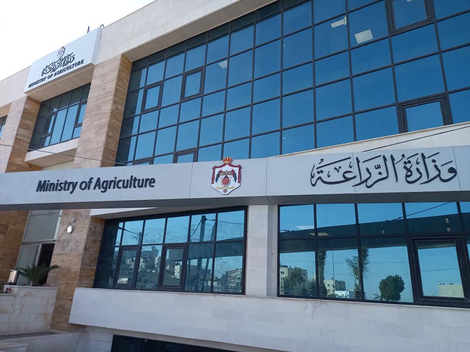 وزارة الزراعة: 141 شركة ونحو 108 أفراد يستوردون اللحوم من الخارج ..  والاستيراد متاح للجميع