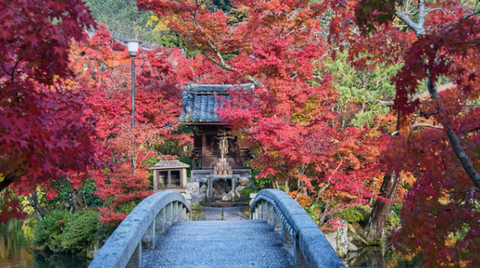 استمتع بإجازة ممتعة في مدينة كيوتو اليابانية 