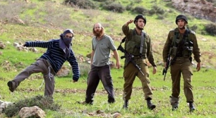 مستوطنون يعتدون بوحشية على مزارع فلسطيني في جالود قرب نابلس