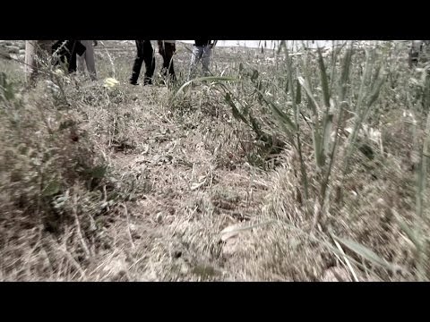 بالفيديو ..  قصة مقتل فتاة .. الحكم بالحبس المؤبد بحق قاتل فتاة السموع في فلسطين