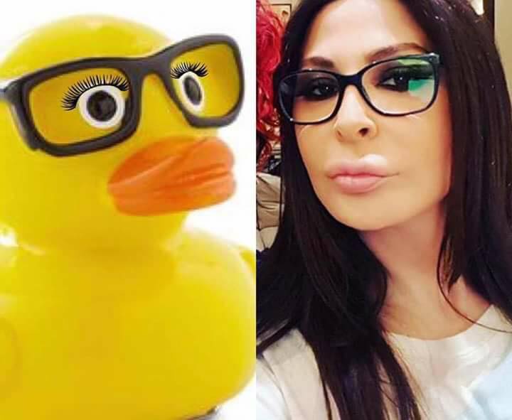 بالصور  ..  تشبيه مضحك لفنانات عربيات واجنبيات 