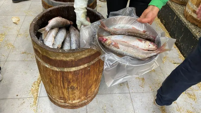 ظاهرة منذ عشرات السنين ..  سر مدينة يقصدها المصريون قبل شم النسيم