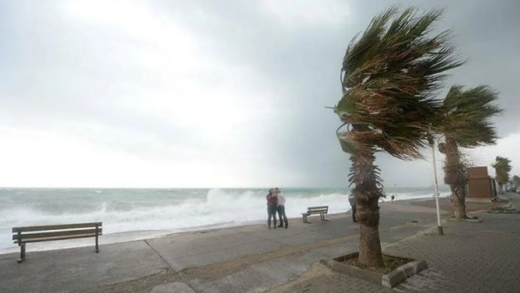 بسبب الرياح شديدة والأمطار ..  الجزائر تعلّق الدراسة