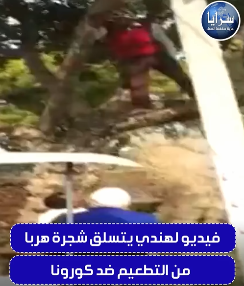 فيديو طريف  ..  هندي يتسلق شجرة هربا من التطعيم ضد كورونا
