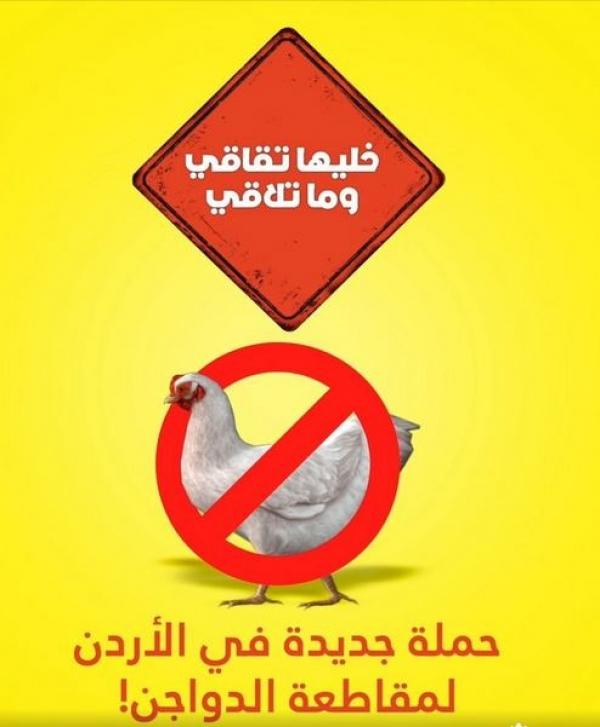 "خليها تقاقي وما تلاقي"  ..  المقاطعة سلاح الأردنيين لخفض أسعار الدجاج