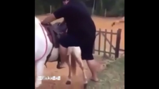 بالفيديو   ..  نهاية رجل سمين أصر على حلم امتطاء الخيول