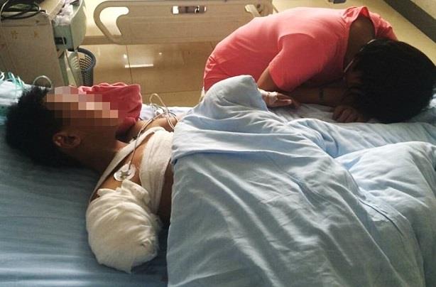 بالصور : دُب ينتزع ذراع طفل صيني حاول ملامسته 