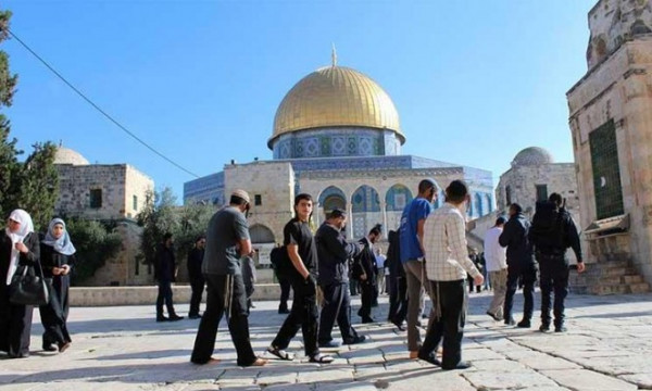 عشرات المستوطنين المتطرفين يقتحمون باحات الأقصى