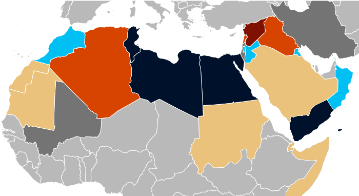 ربيع عربي جديد ..  لكن هذه المرة الشعب يريد «كتابا»