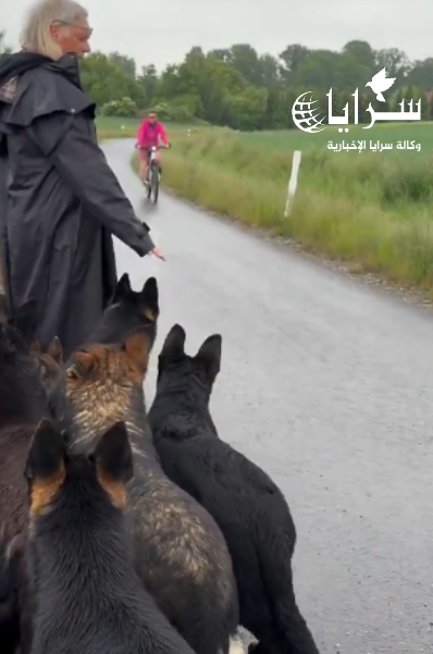 بالفيديو ..  ماذا كنت ستفعل لو كنت مكان صاحب الدراجة؟