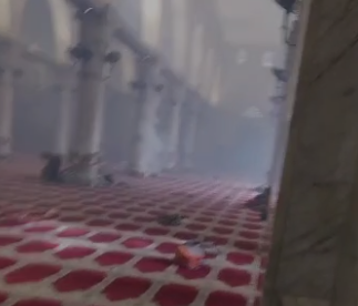 بالفيديو  ..  "مرابط مقدسي" يصرخ من داخل المسجد الأقصى: "للبيت ربُ يحميه"