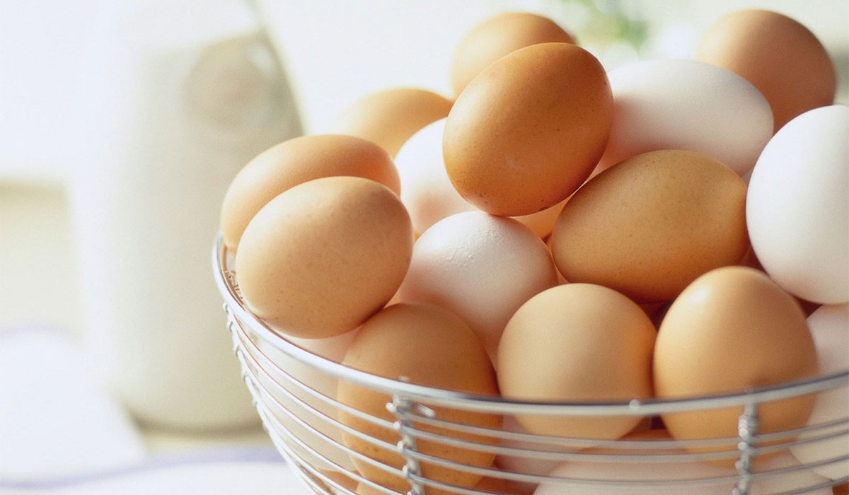 فوائد البيض لبناء العضلات ولإنقاص الوزن وللمرأة الحامل