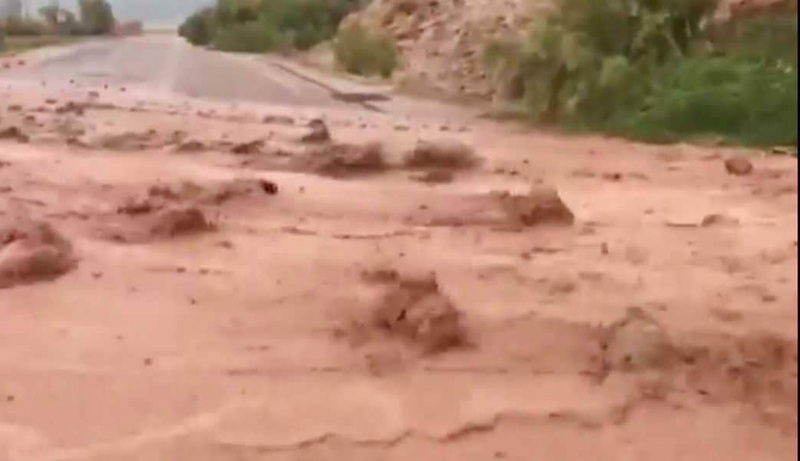  المصري: حصر البؤر الساخنة المرصودة في جرش وعجلون خلال الشتاء 