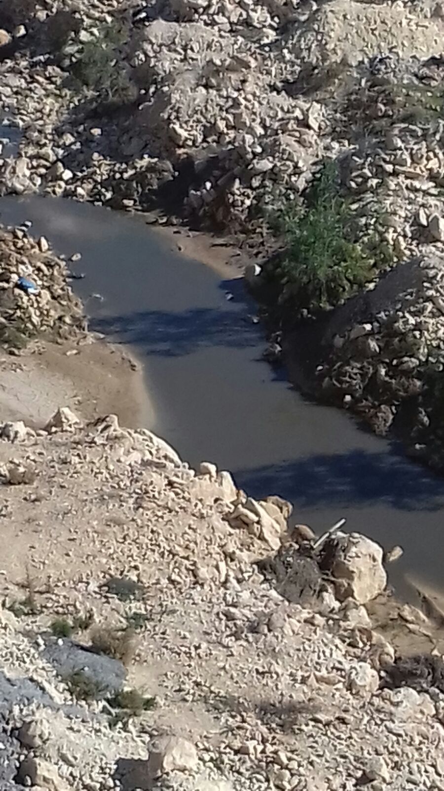 بالصور  ..  برك من مياه المجاري في منطقة حي المنصور في طبربور