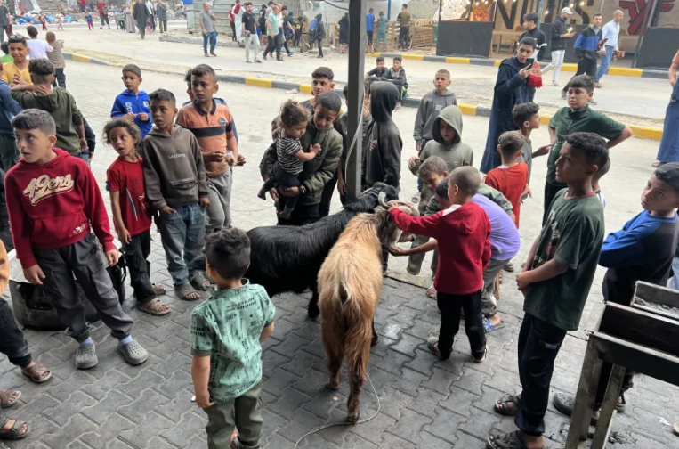 عيد الأضحى في غزة  ..  طقوس غائبة وواقع أثقلته الحرب