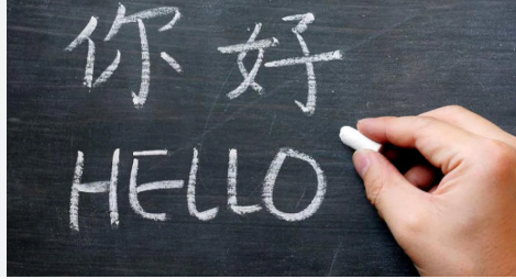 التربية تبحث إدراج اللغة الصينية في مدارس الأردن