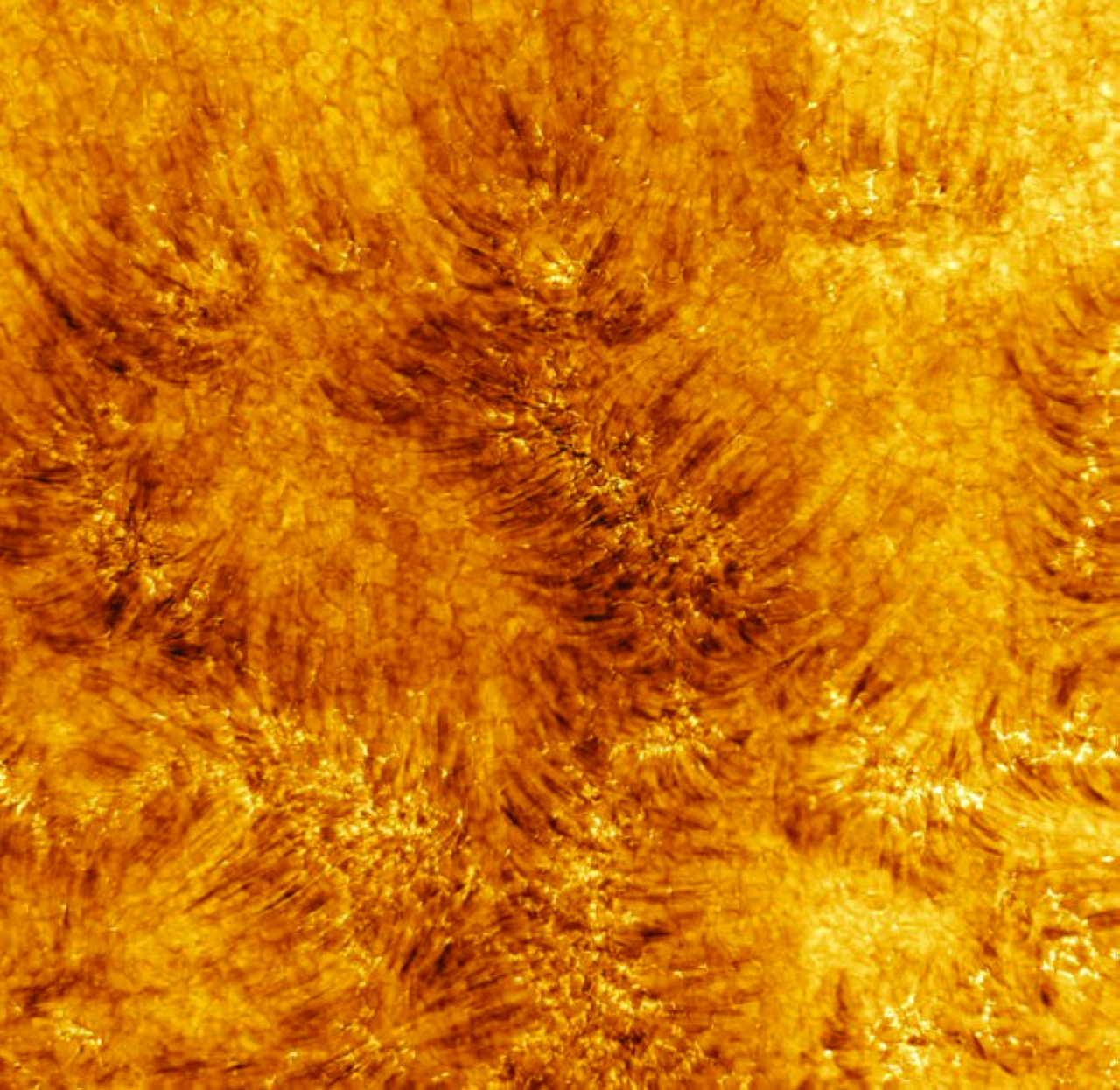 وجه الشمس  ..  قرص عسل من البلازما النارية