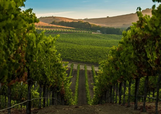 أشياء عليك تجربتها في وادي نابا