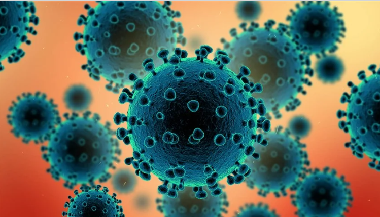 خبراء أوبئة يحددون فيروسين كأكبر تهديد قادم للصحة العامة