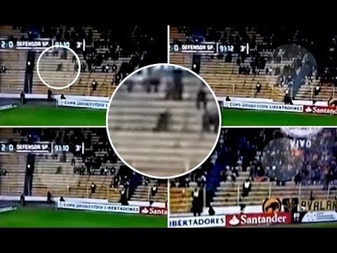 بالفيديو: شبح يخترق اجسام المشجعين على مدرجات ملعب ببوليفيا