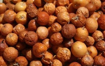 تفسير رؤية أكل النبق 