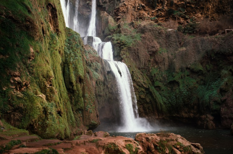 بالصور  ..  أجمل الرحلات اليومية في مدينة مراكش المغربية