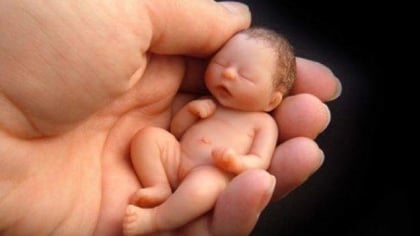 حلم الأمومة يغتاله العوز ..  صرخة استغاثة لزوجين أردنيين ضاقت بهما السبل ويناشدون أهل الخير مساعدتهم